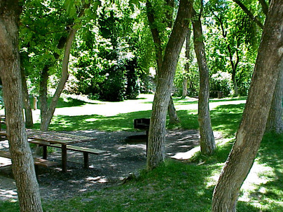 Nunns Park - Picnic Tables